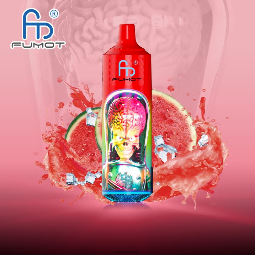 RandM Vape Athens | Fumot RandM Tornado RL040203 Συσκευή 9000 pro vape με μπαταρία και οθόνη ejuice έκδοση 1 πάγος καρπούζι