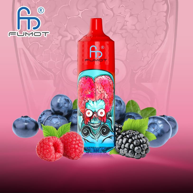 RandM Vape Greece | Fumot RandM Tornado RL040191 Συσκευή 9000 pro vape με μπαταρία και οθόνη ejuice έκδοση 1 βατόμουρο ξινό βατόμουρο