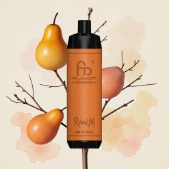 Βύσσινο RandM Fumot Shisha 10000 Puffs 850 mAh Greece wholesale